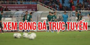 ABC8 xem bóng đá trực tuyến